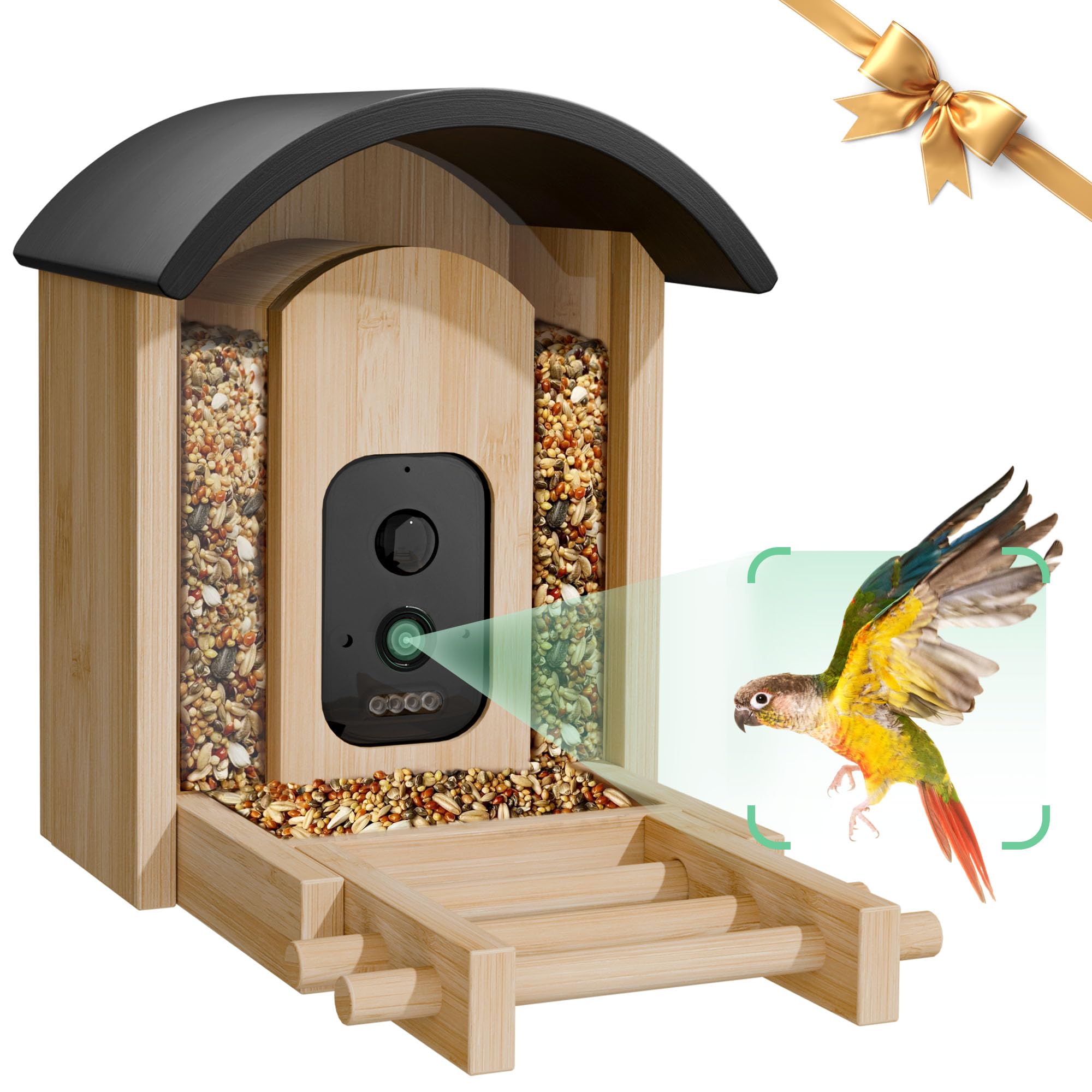 VISIOGEAR Bird Feeder with Camera, Smart Wild Bird Feeder for Outdoors with AI Identify, Solar Bird Feeder Watching Camera Auto Capture Birds & Real-time Notifications, Gifts for Birdlover (Arch)