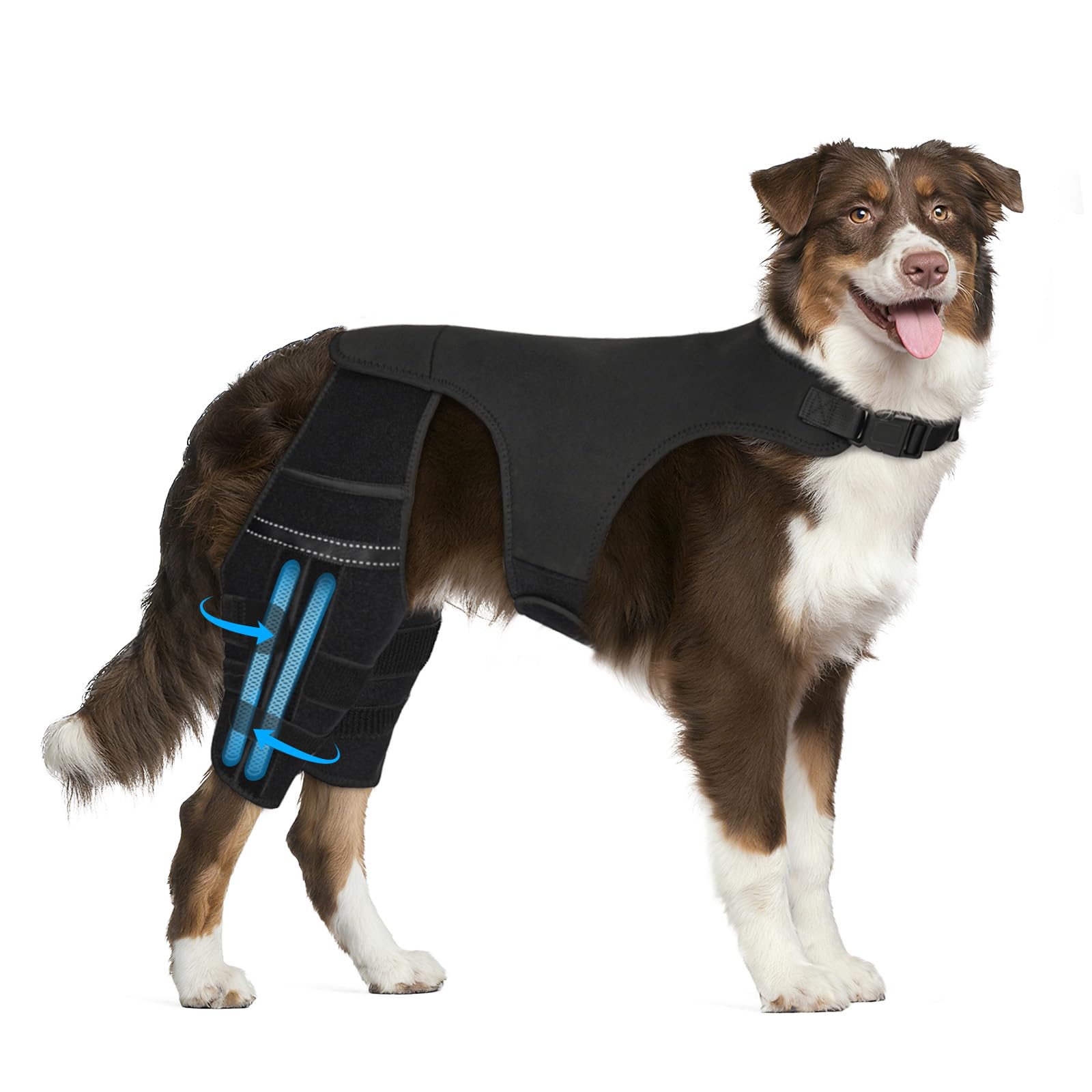 Marnonsis Dog Knee Brace for Torn Acl Hind Leg, 4 Stabilizers Dog Leg Braces for Back Leg, Adjustable Hip Support to Reduces Pain, Ligament Injuries, Luxating Patella, XL