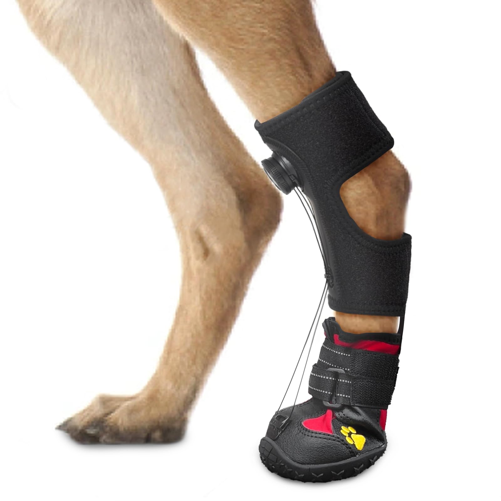 Drop Foot Brace with Reel(No Knuckling Boot Brace) for Dog - Corrective Dog Shoes to Safely Lift Toes for Foot Issues, Arthritis, and improving Walking gait in Dogs,Patent Pending(S)