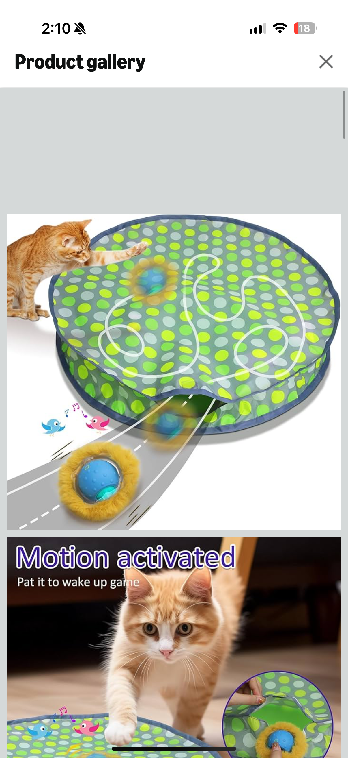 Giociv Interactive Cat Toys Ball Fast Rolling in Pouch, Motion Activate Chirping Cat Toy Hide and Seek Mouse Catching Game (Green Polka dot)