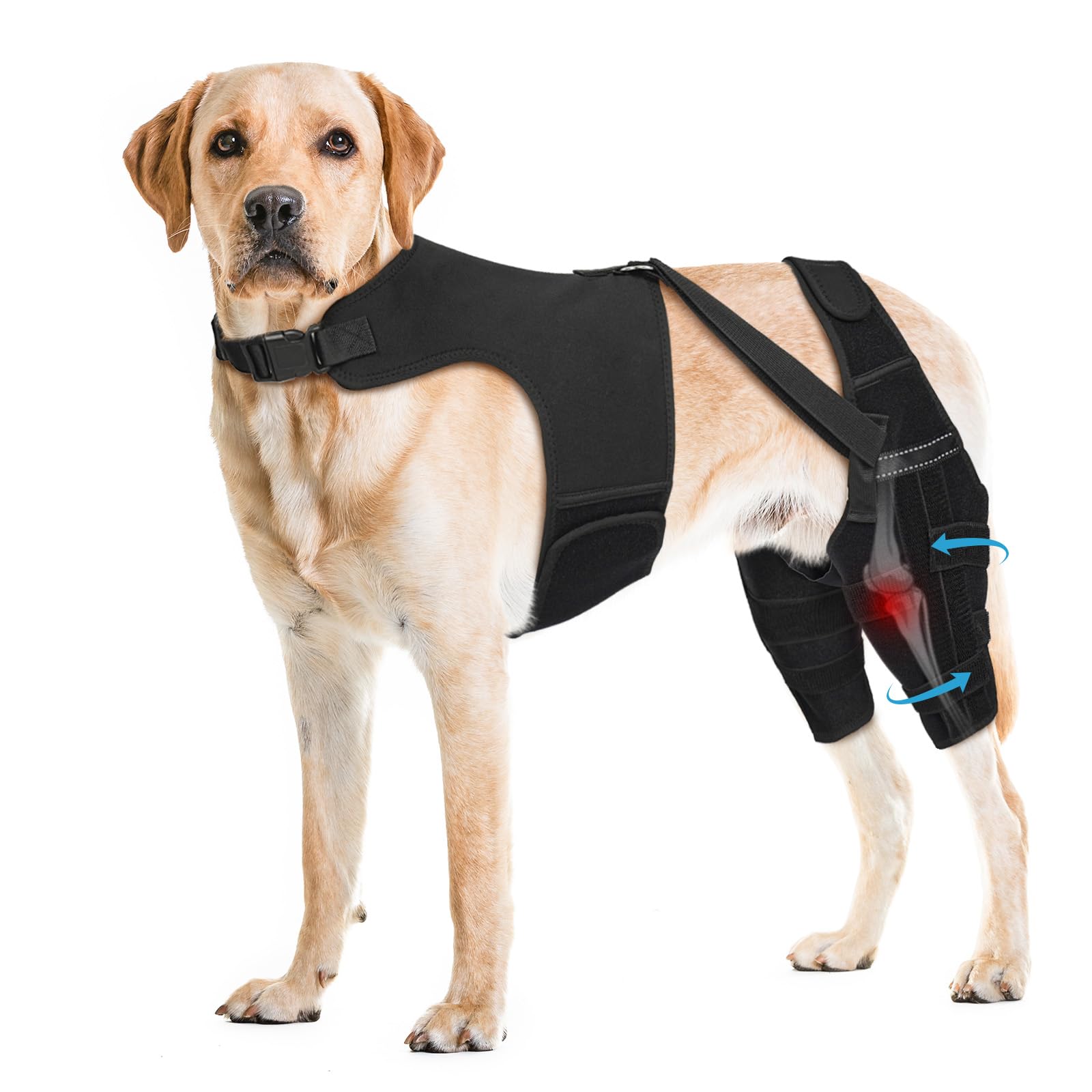Pawfun Dog Knee Brace for Torn ACL Hind Leg, Dog Leg Brace Helps Reduce Pain from Torn CCL, Luxating Patella, Ligament Injuries, Hip Dysplasia, XXL