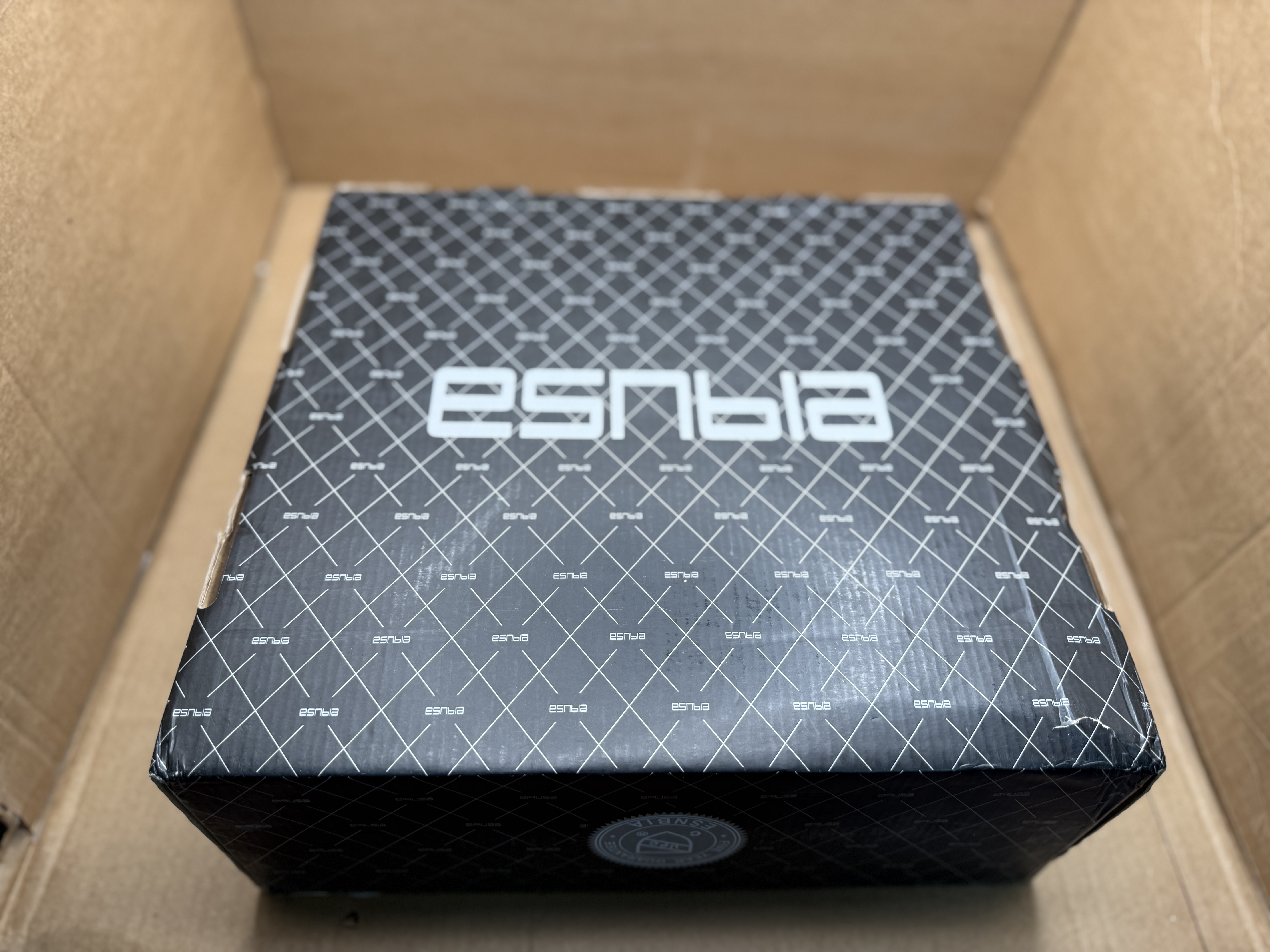 ESNBIA Rainfall Shower head