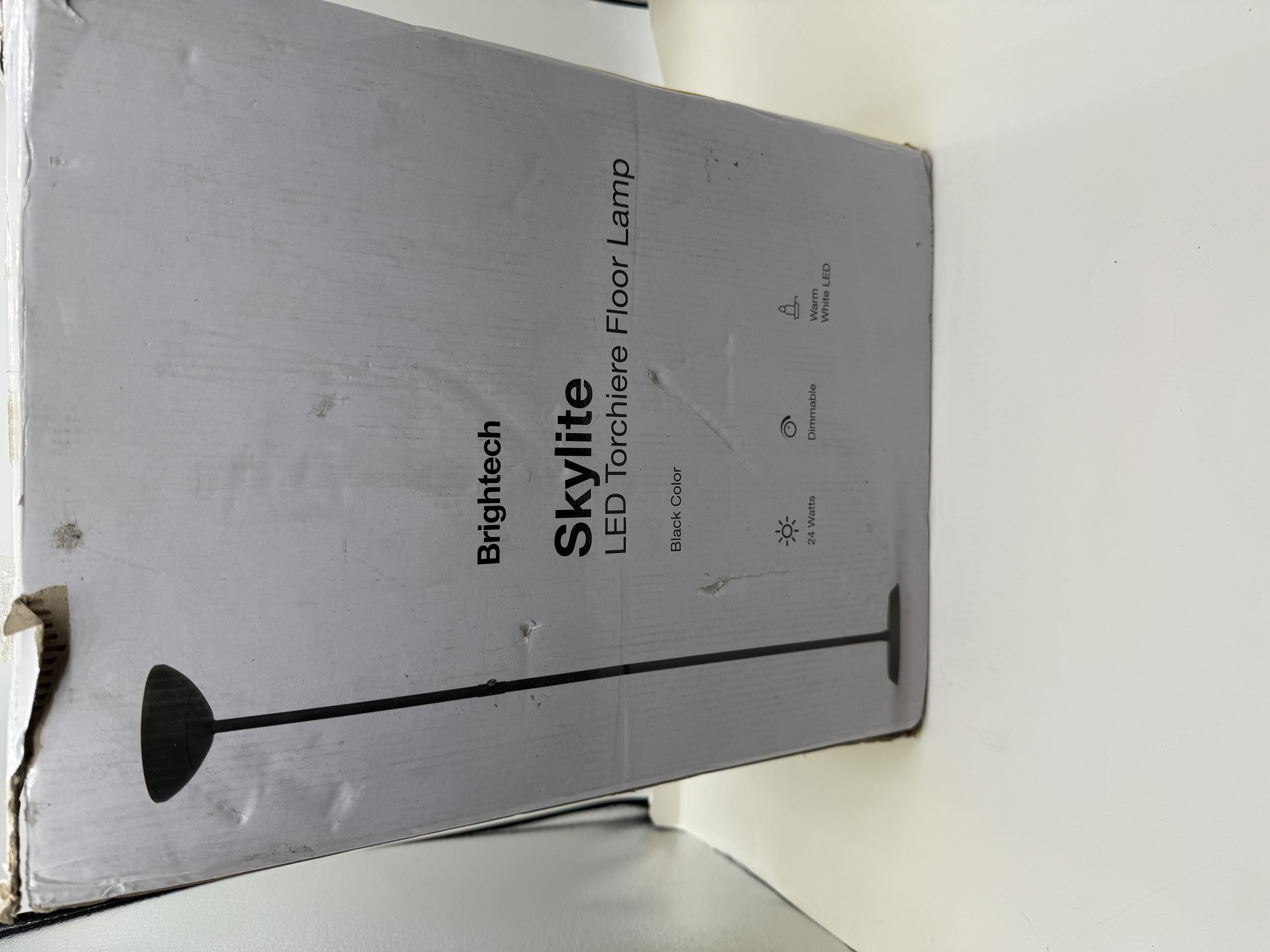 Skylite LED Torchiere Floor Lamp