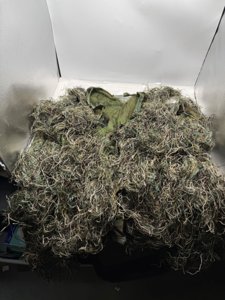 Ghillie Suit for Men Gilly Suit for Hunting Halloween Costume Airsoft Paintball AUSCAMOTEK Ghillie Suit for Men Gilly Suit for Hunting Halloween Costume Airsoft Paintball Hood Rifle Wrap Included-Small photo 4