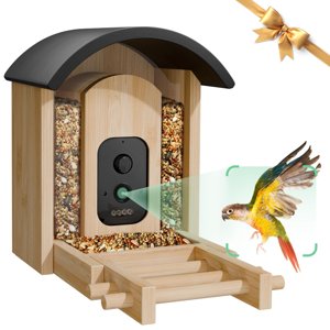 VISIOGEAR Bird Feeder with Camera, Smart Wild Bird Feeder for Outdoors with AI Identify, Solar Bird Feeder Watching Camera Auto Capture Birds & Real-time Notifications, Gifts for Birdlover (Arch)