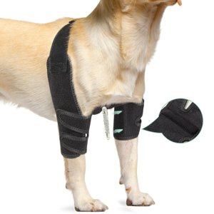 Lyderpet Dog Elbow Protector Brace for Canine Pads Elbow&Shoulder Support Callus, Hygroma, Dysplasia, Arthritis, Dislocation, Pressure Sores, with Metal Splints Wrap Both Left and Right Front Legs photo 1