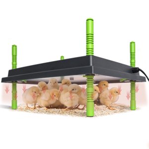 Shaledig Chick Brooder Heater Plate, 12"x16" Warmer Brooder Plate for Chicks with Adjustable Height & Temperature Display, 30W Temperature Control Brooder Heating Plate for 40 Baby Chicks Duck photo 1