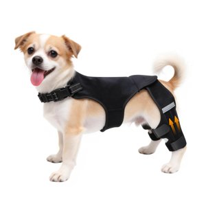 ALYBIT Dog Knee Braces for Torn ACL Hind Leg, Adjustable Dog Leg Braces for Back Leg with 4 Stabilizers for Luxating Patella Relieves Ligament Injury and Joint Pains(S) photo 1